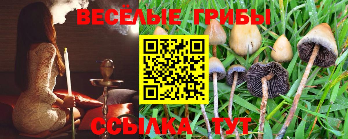 Лысьва  Галлюциногенные грибы MAGIC MUSHROOMS  Вход с VPN 
